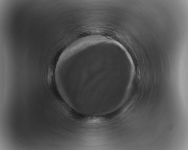 X0000088850235200707061038