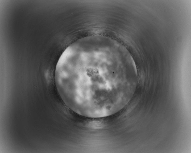 X0000088850236200707061038