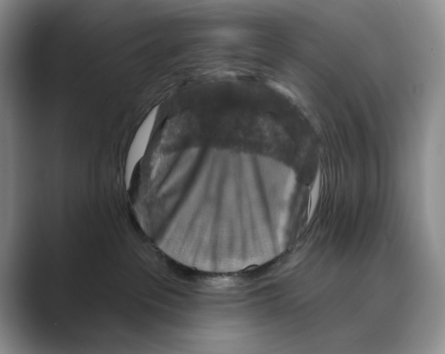 X0000088850237200707061038