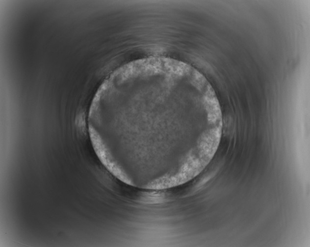 X0000088850238200707061038