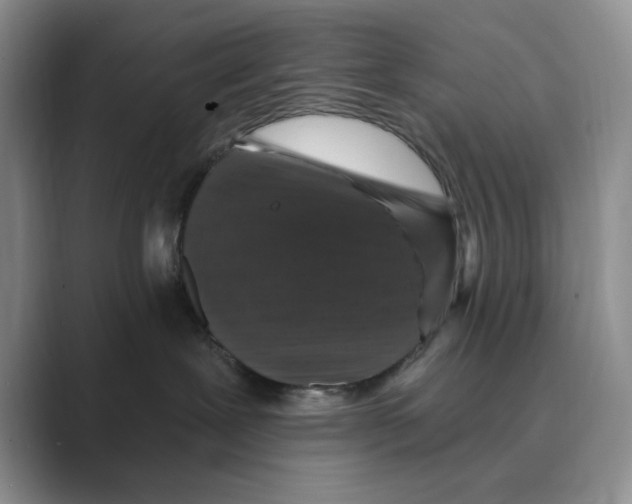 X0000088850239200707061038