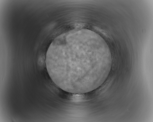 X0000088850240200707061038