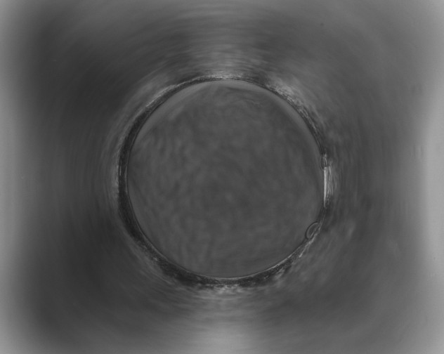 X0000088850243200707061038