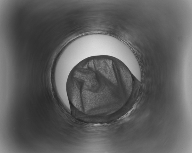 X0000088850244200707061038