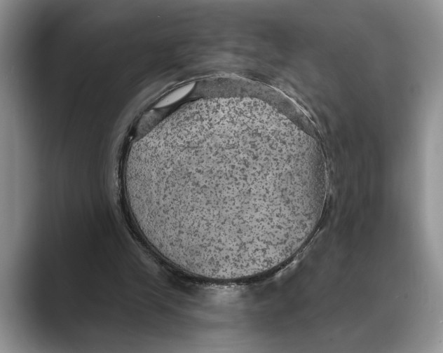 X0000088850245200707061038