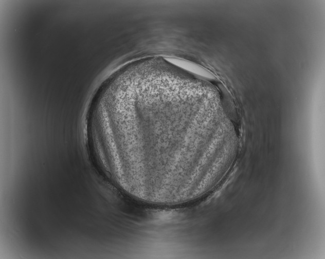 X0000088850246200707061038