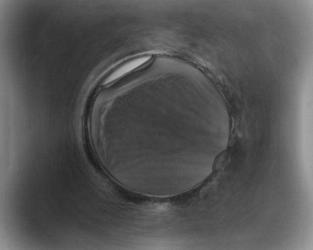 X0000088850247200707061038