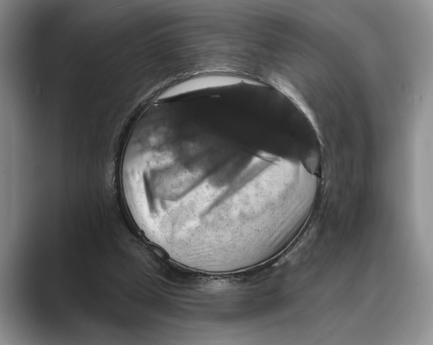 X0000088850249200707061038