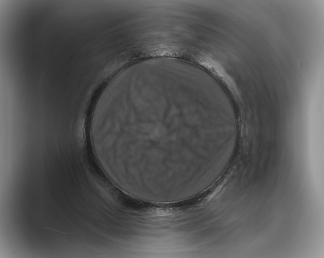 X0000088850250200707061038