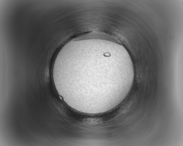 X0000088850251200707061038
