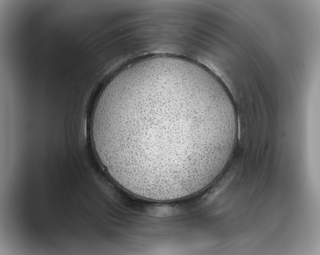 X0000088850253200707061038