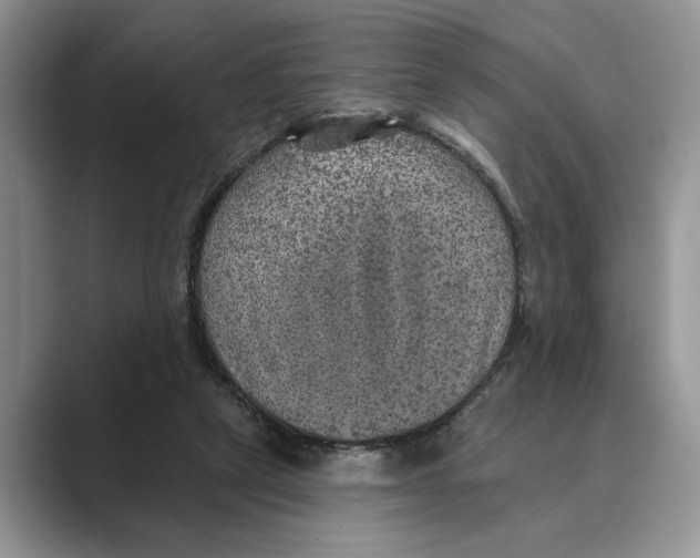 X0000088850257200707061038