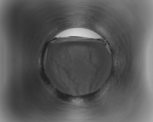 X0000088850258200707061038