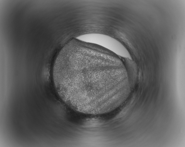 X0000088850259200707061038