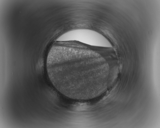 X0000088850260200707061038
