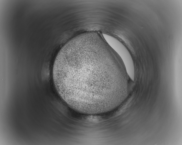 X0000088850261200707061038