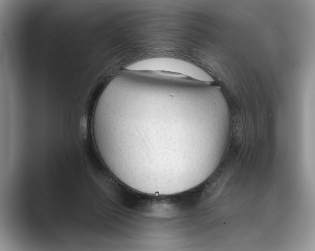 X0000088850262200707061038