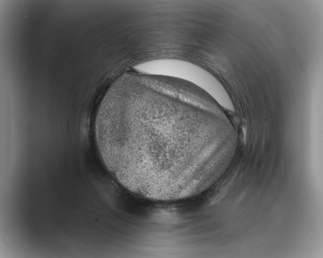 X0000088850263200707061038