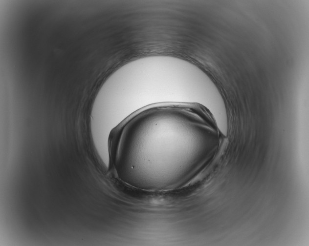 X0000088850264200707061038