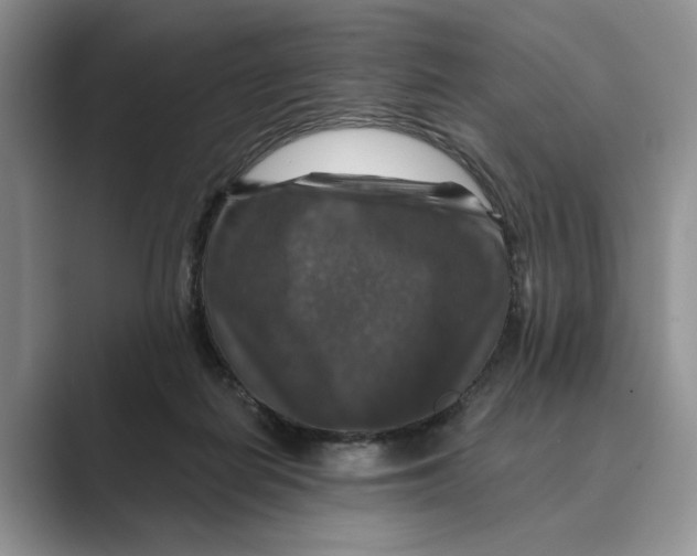 X0000088850266200707061038