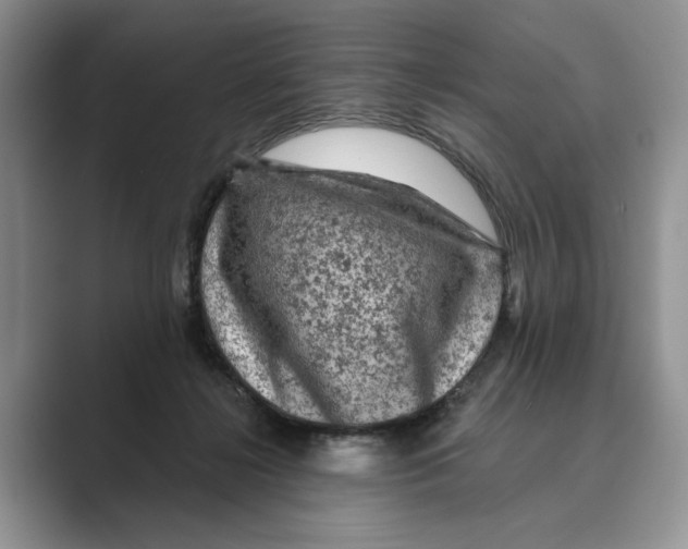 X0000088850268200707061038