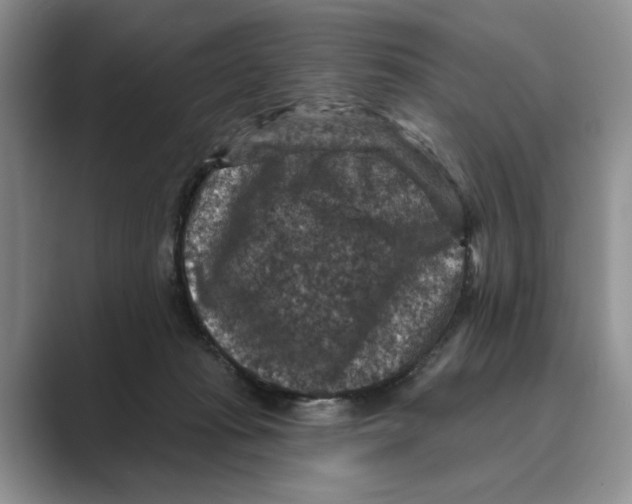 X0000088850269200707061038