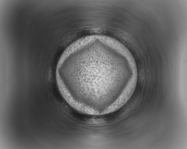 X0000088850270200707061038