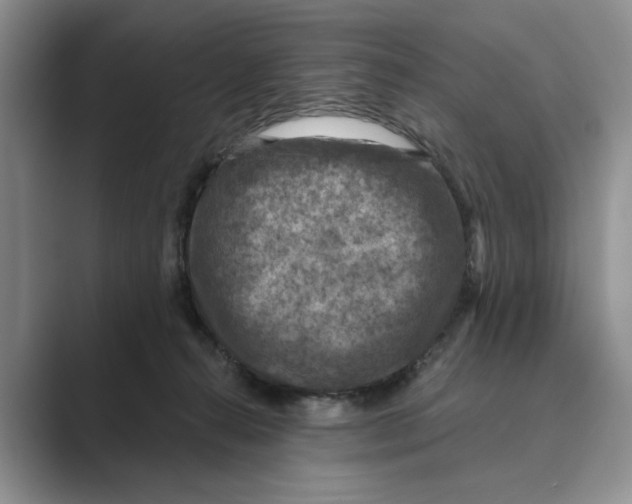 X0000088850272200707061038