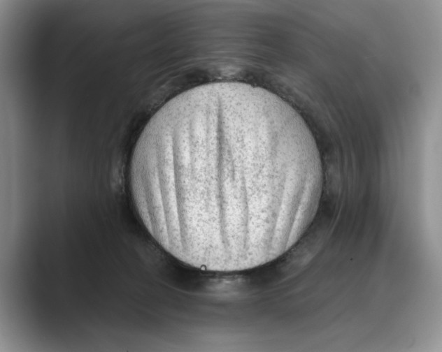 X0000088850274200707061038