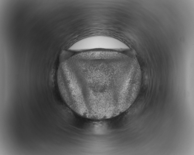 X0000088850275200707061038