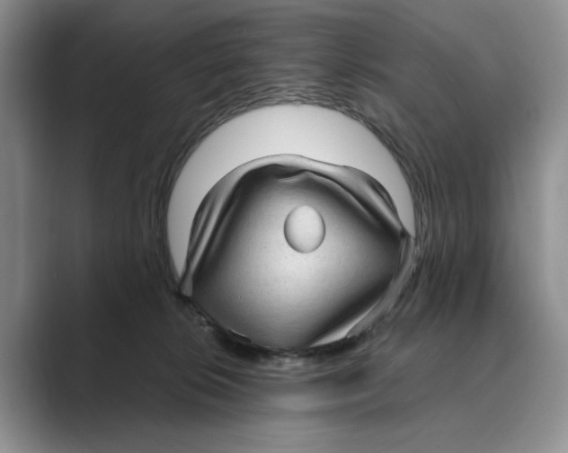 X0000088850276200707061038