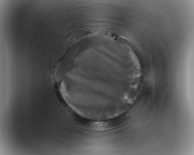 X0000088850277200707061038