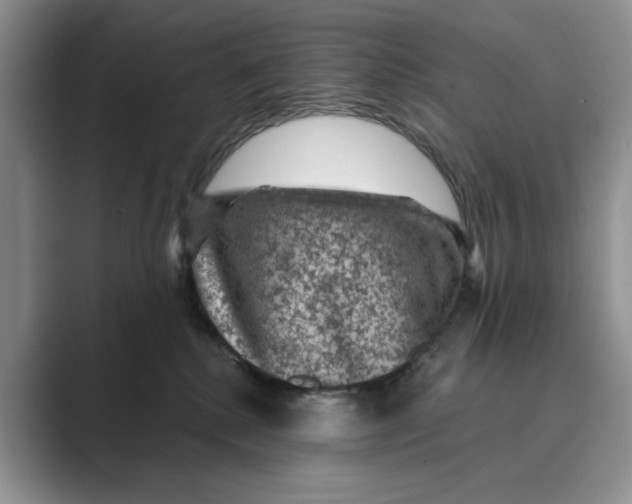 X0000088850280200707061038