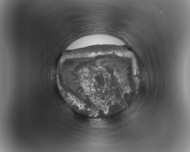 X0000088850281200707061038
