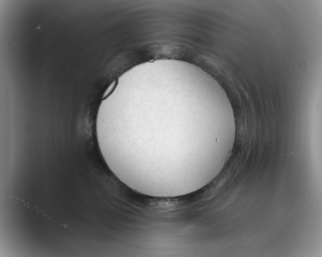 X0000088850282200707061038