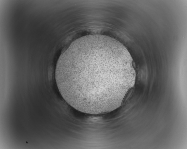 X0000088850283200707061038