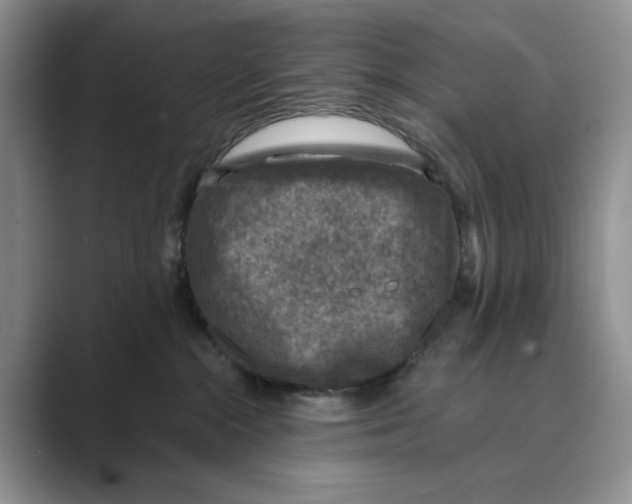 X0000088850284200707061038