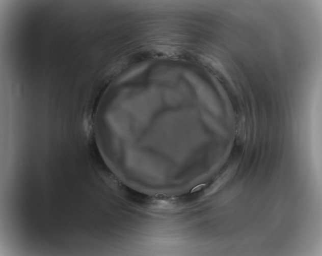 X0000088850285200707061038