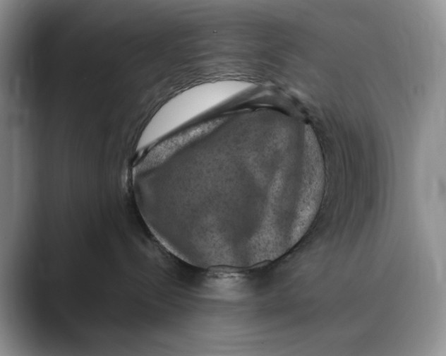 X0000088850288200707061038