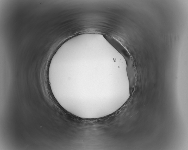 X0000088850289200707061038