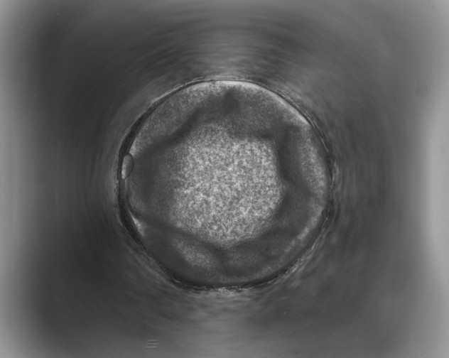 X0000088850290200707061038