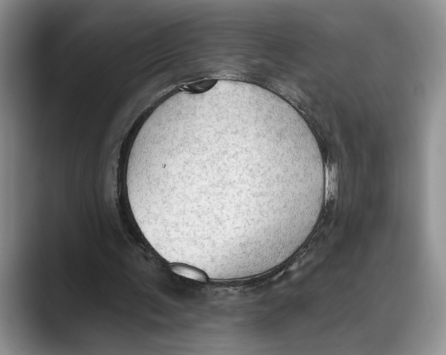 X0000088850291200707061038