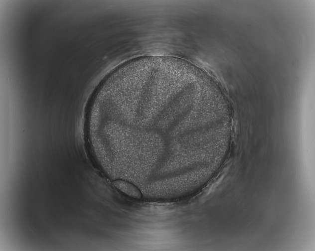 X0000088850292200707061038