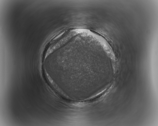 X0000088850293200707061038