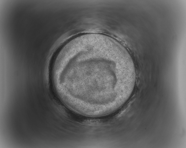 X0000088850296200707061038