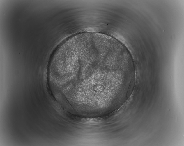 X0000088850297200707061038