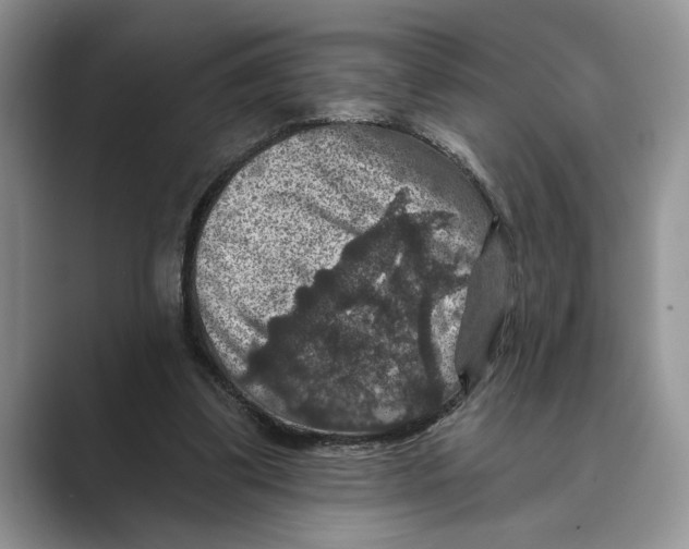 X0000088850299200707061038
