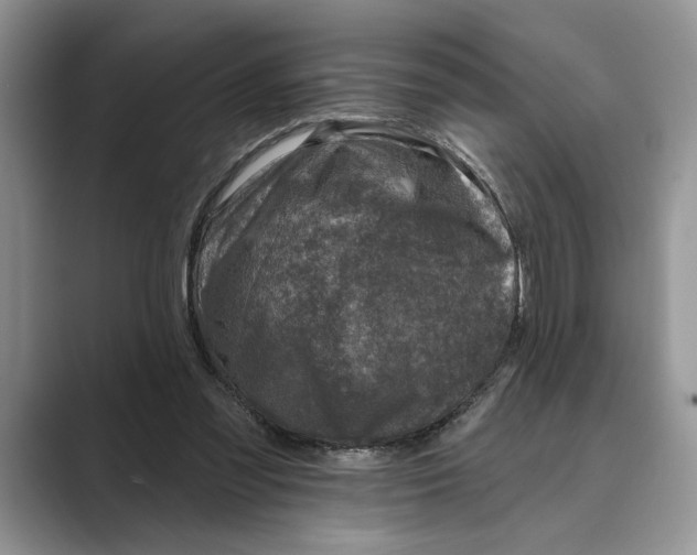 X0000088850301200707061038