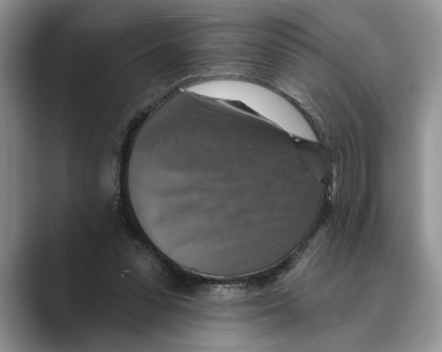 X0000088850303200707061038