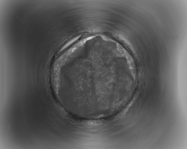 X0000088850305200707061038